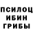 Галлюциногенные грибы Magic Shrooms PUGACH FUN