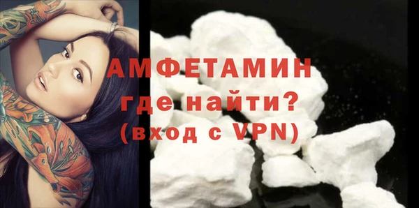 индика Нея