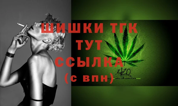 индика Нея