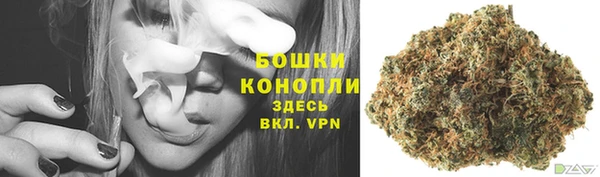 индика Нея
