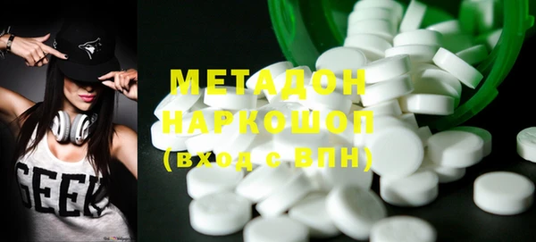 индика Нея