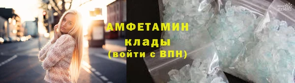 индика Нея