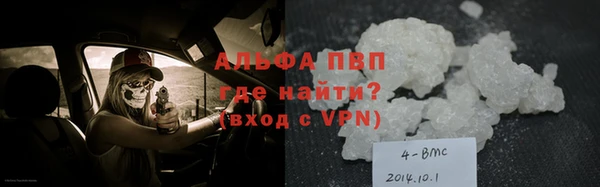индика Нея
