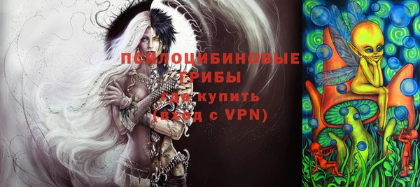 индика Нея