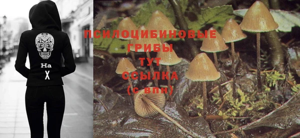 винт Чита