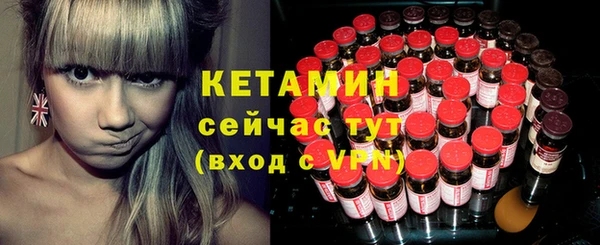 индика Нея
