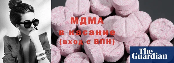 индика Нея