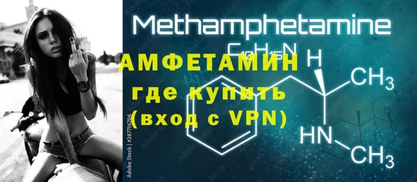 индика Нея