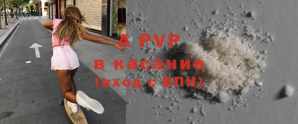 индика Нея