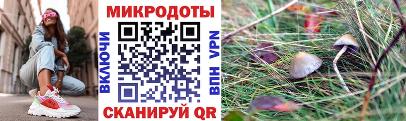 продажа наркотиков  Вольск  Псилоцибиновые грибы GOLDEN TEACHER 