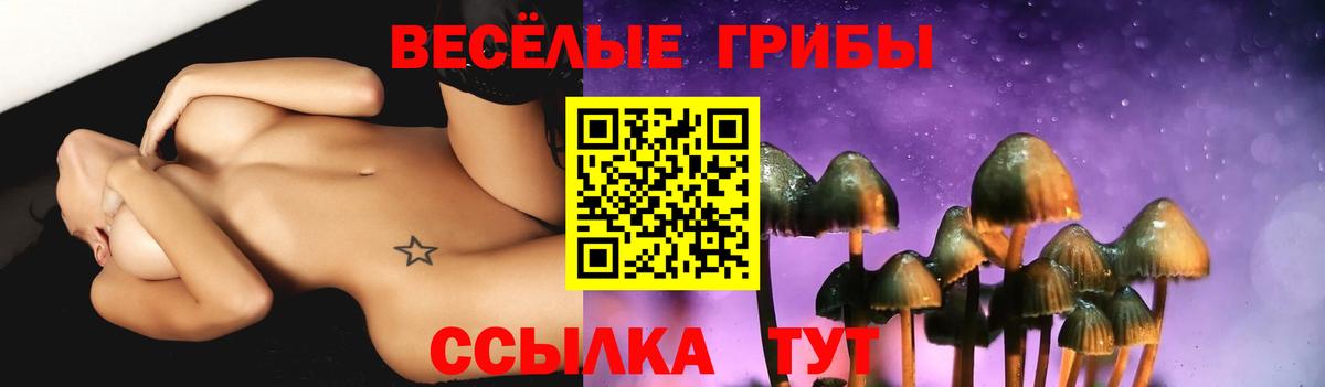 Вольск  как найти наркотики  Вход с VPN  Псилоцибиновые грибы мухоморы 