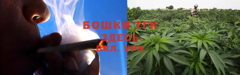 Каннабис OG Kush  Вольск 